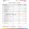 Albania ProCreditBank proof of address bank statement Word and PDF template, .doc and .pdf format