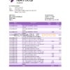 Algeria Natixis Algerie bank statement template in Excel and PDF format