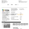 Andorra ELECTRIC FORCES OF ANDORRA utility bill template in Word and PDF format