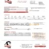 Angola LNG proof of address utility bill template in Word and PDF format