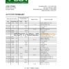 Angola Banco Comercial Angolano statement template in Excel and PDF format