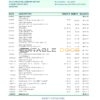 Argentina Banco Patagonia bank statement template in Excel and PDF format