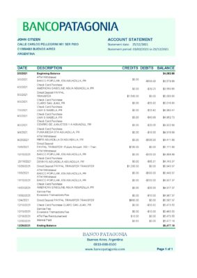 Argentina Banco Patagonia bank statement template in Excel and PDF format