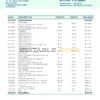 Argentina Banco Patagonia bank statement template in Word and PDF format
