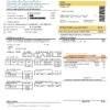 Argentina Edenor easy to fill utility bill template in Word (.doc) and PDF (.pdf) format