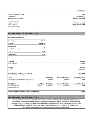 Australia Citibank bank statement Excel and PDF template