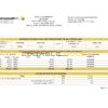 Australia Commonwealth Account Bank statement template in Excel and PDF format, fully editable