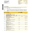 Australia Commonwealth bank statement template in Word and PDF format, good for address prove