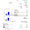 Australia Momentum Energy utility bill template in Word and PDF format