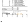 Australia Woodforest National bank statement Word and PDF template, 3 pages