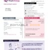 Australia People Energy electricity utility bill template in Word and PDF format