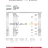 Austria Bank Austria bank statement easy to fill template in Excel and PDF format
