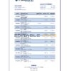 Azerbaijan AtaBank bank statement template in Excel and PDF format