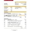 Bahamas FirstCaribbean International Bank statement template in Excel and PDF format