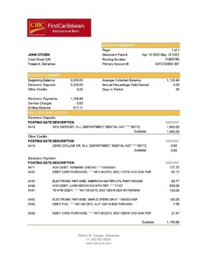 Bahamas FirstCaribbean International Bank statement template in Excel and PDF format