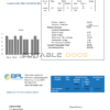 Bahamas Power and Light Company utility bill template in Word and PDF format