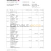 Bahrain Al Baraka bank statement easy to fill template in .xls and .pdf file format