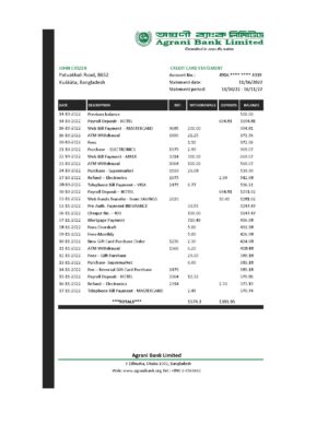 Bangladesh Editable Template 13 Bangladesh Agrani Bank statement template in Excel and PDF format