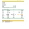 Barbados First Citizens bank statement template in Excel and PDF format