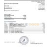 Belarus Alfa bank statement template in Excel and PDF format