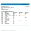Belarus Paritet bank statement template in Word and PDF format