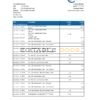 Belize Choice Bank statement template in Excel and PDF format