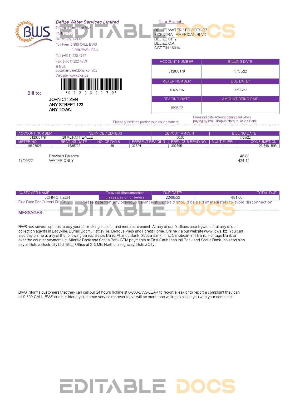 Belize Water Services Limited utility bill template in Word and PDF format