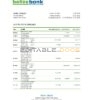 Belize bank statement template in Excel and PDF format, fully editable