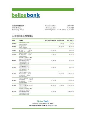 Belize bank statement template in Excel and PDF format, fully editable