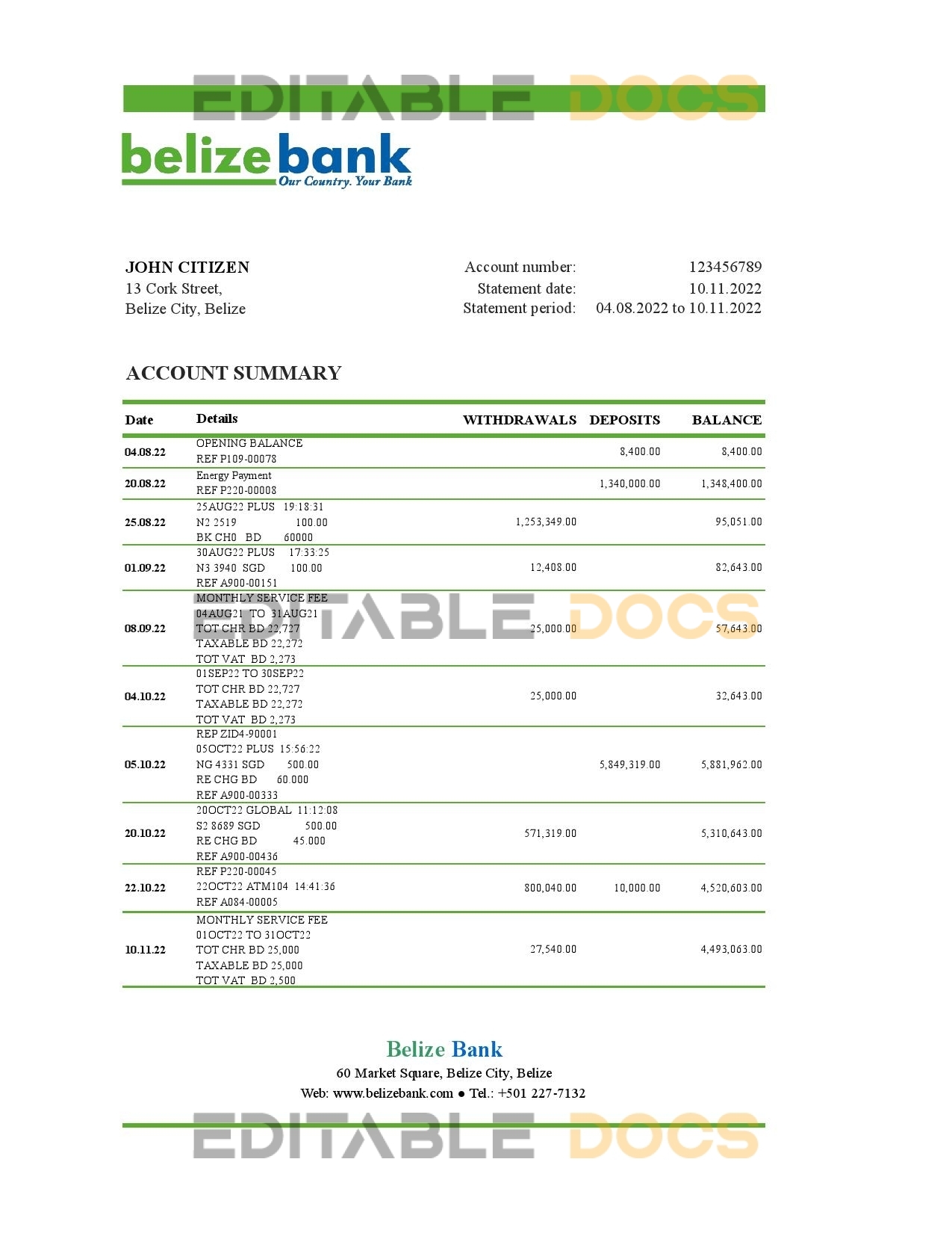 Belize bank statement template in Excel and PDF format, fully editable