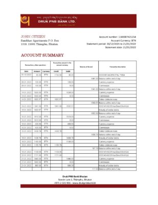 Bhutan Druk PNB bank statement template in Excel and PDF format (autosum)