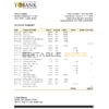 Bhutan T Bank Statement template in Excel and PDF format