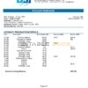 Bosnia and Herzegovina Bosna Bank International proof of address bank statement template in Word and PDF format