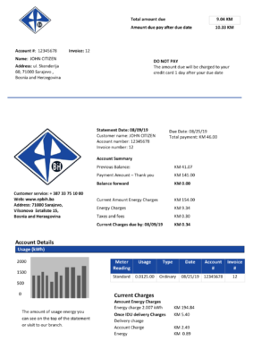 Bosnia and Herzegovina Elektroprivreda BiH electricity utility bill template in Word and PDF