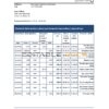 Botswana Bank ABC bank statement template in Excel and PDF format