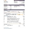 Botswana Savings bank statement template in Excel and PDF format