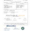 Brazil Banco do Brasil bank statement template in Word and PDF format