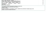 Brunei Baiduri bank card statement, Word and PDF template, 4 pages
