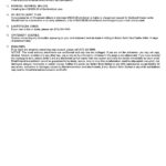 Brunei Baiduri bank card statement, Word and PDF template, 4 pages