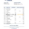 Bulgaria Fibank bank statement easy to fill template in Excel and PDF format (AutoSum)