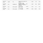 Bulgaria iCard statement, Word and PDF template, 2 pages