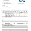 Bulgary Ситигаз gas utility bill template in Word and PDF format