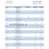 Burundi Finbank statement Word and PDF template