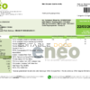 Cameroon ENEO electricity utility bill template in Word and PDF format (current version)