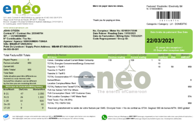 Cameroon ENEO electricity utility bill template in Word and PDF format (current version)