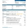 Cameroon BGFI Bank statement template in Word and PDF format