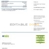 Cameroon ENEO electricity utility bill template in Word and PDF format