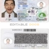 Canada Permanent residence card template in PSD format, fully editable