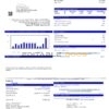 USA Texas Carrollton utility bill template in Word and PDF format