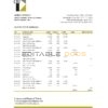 Chad Commercial Bank of Tchad bank statement Excel and PDF template, fully editable (AutoSum)